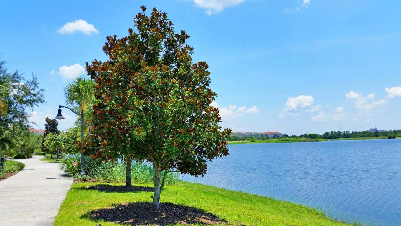 Вилла Florida Palms Орландо Экстерьер фото